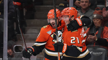 提供了一个 提供了一个